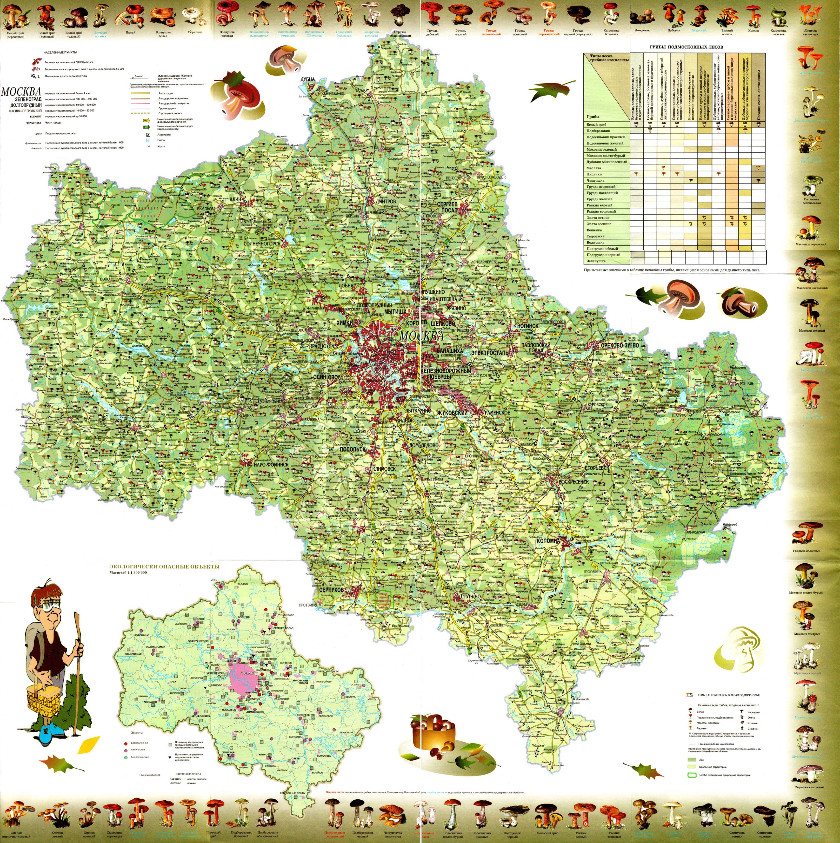 Карта Московской области - карта грибника, A0 - 